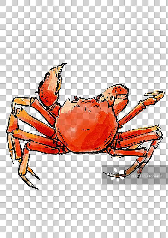 国风手绘海鲜插画图片素材