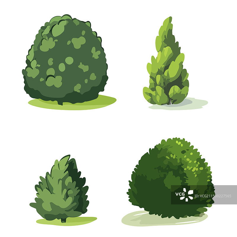 白色背景上的绿色灌木丛图片素材