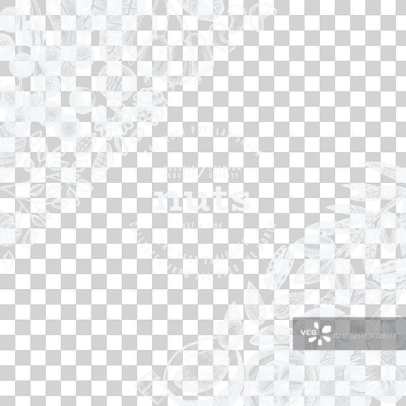 手绘坚果枝和果仁模板图片素材