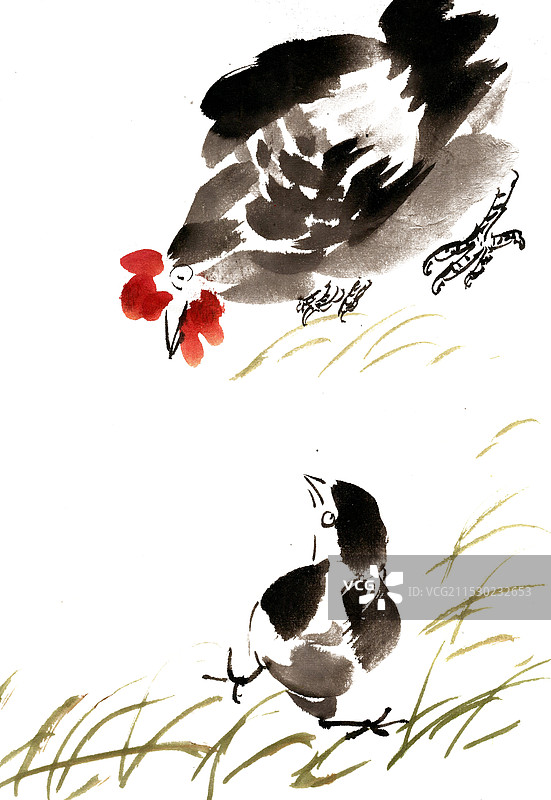 母鸡与小鸡图片素材
