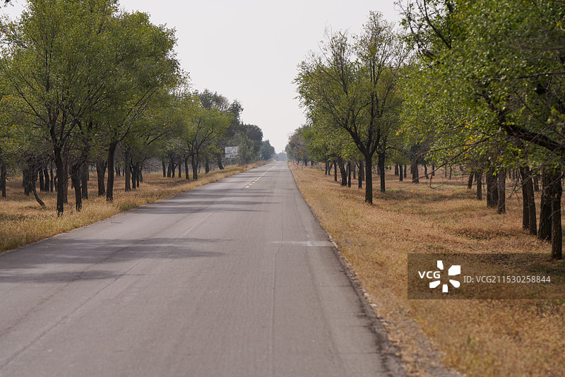 内蒙古 鄂尔多斯 沿着树木和植物的空路图片素材