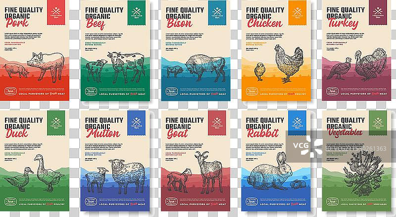 有机肉类和蔬菜包装食品图片素材