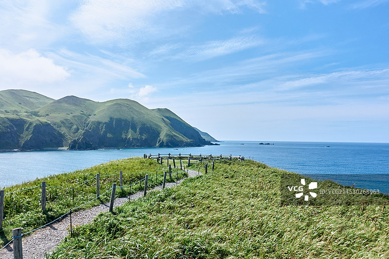 北海道礼文岛的海岸风光与绿意小径图片素材