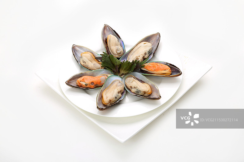 青口贝白底图图片素材