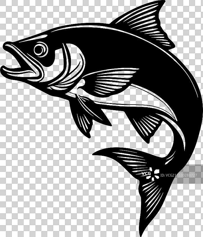 简单的鱼轮廓，鳟鱼图片素材