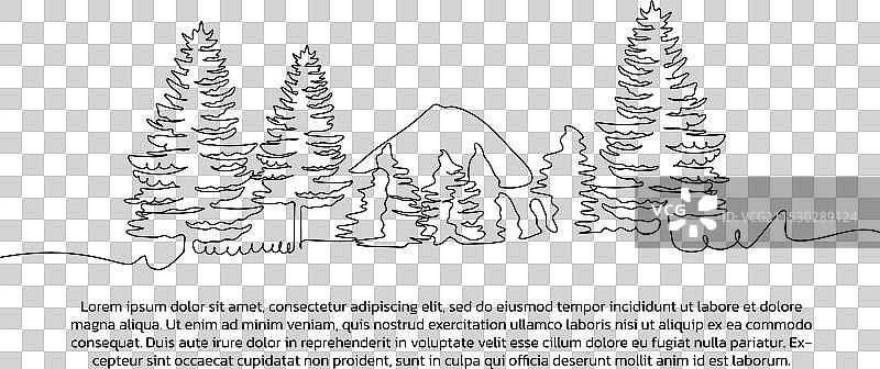 山中松树的景观图片素材