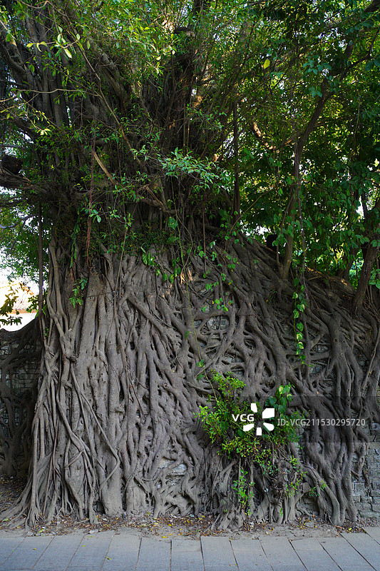 中国广东省东莞市东坑镇丁屋村古围墙历史文化建筑之美！图片素材