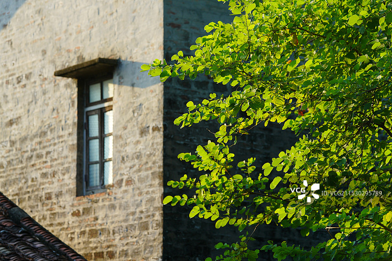 中国广东省东莞市东坑镇丁屋村古围墙历史文化建筑之美！图片素材