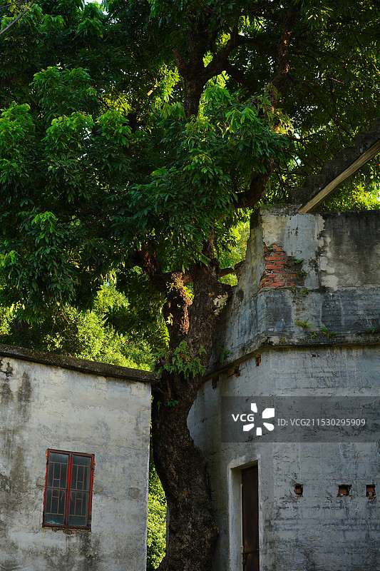 中国广东省东莞市东坑镇丁屋村古围墙历史文化建筑之美！图片素材