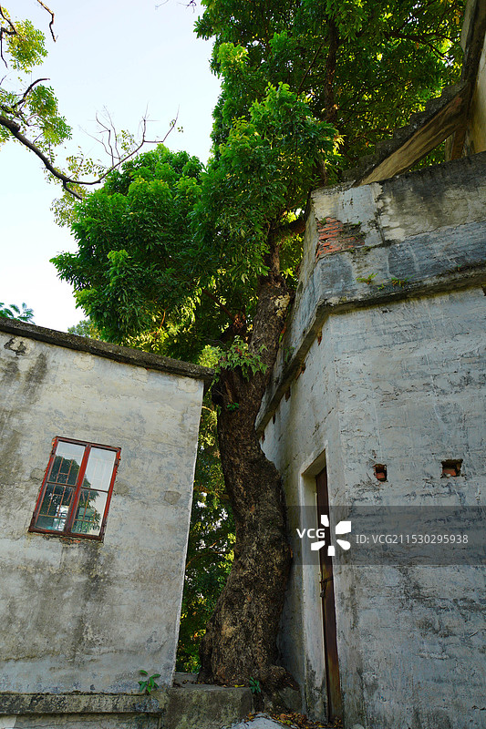 中国广东省东莞市东坑镇丁屋村古围墙历史文化建筑之美！图片素材