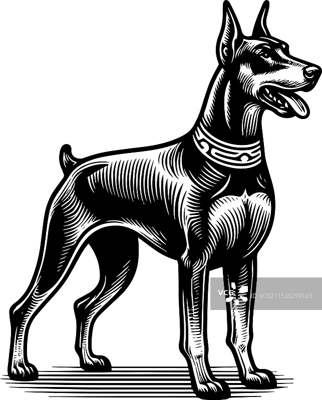 详细的黑白图像图片素材