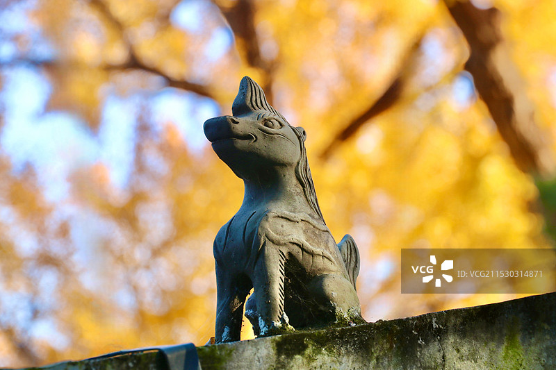 北京西山大觉寺秋景图片素材