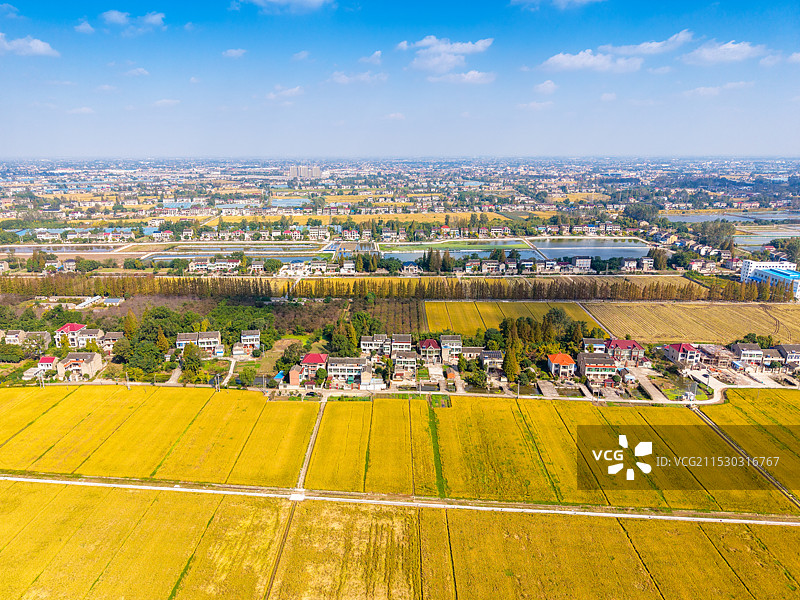 江苏靖江东兴镇海镇村千亩良田航拍秋景图图片素材