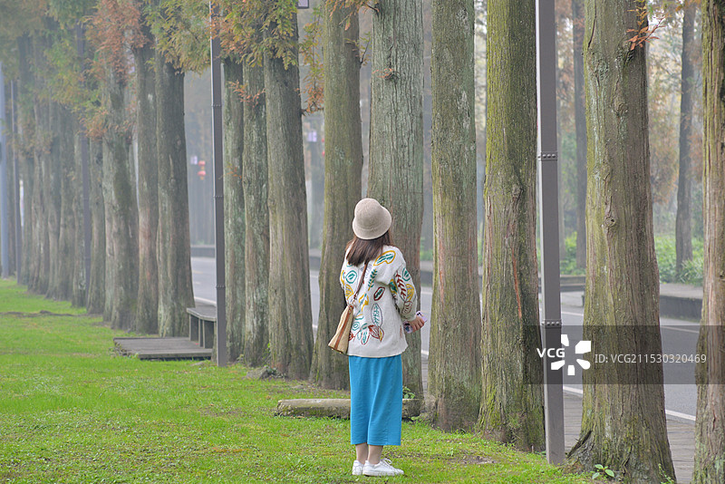 成都，青城山景区入口处的水杉大道，以及草坪上女孩的背影图片素材