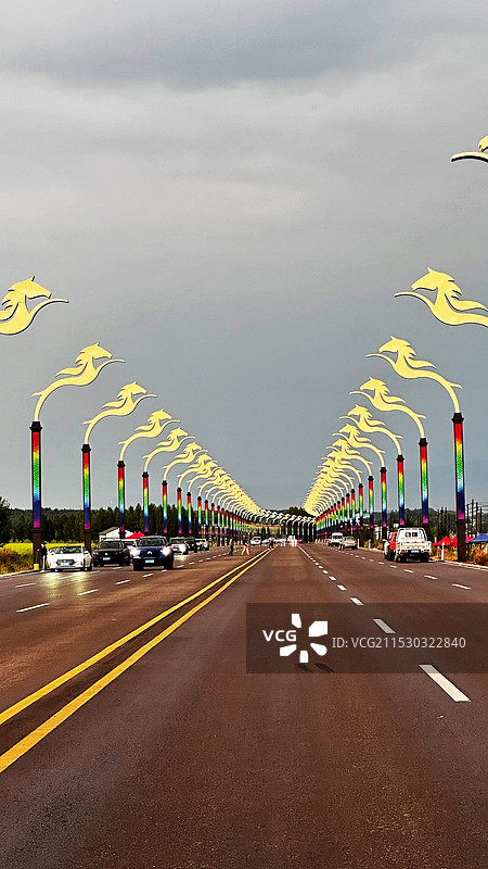 昭苏-骏马路灯图片素材