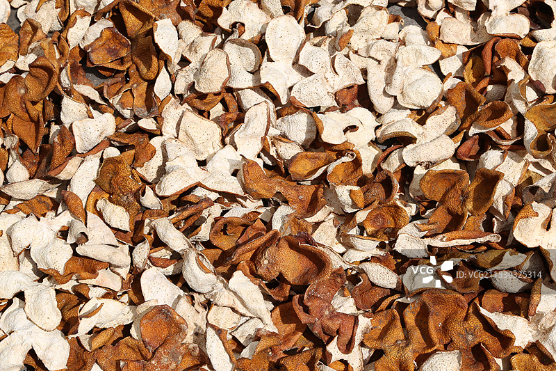 新会陈皮图片素材