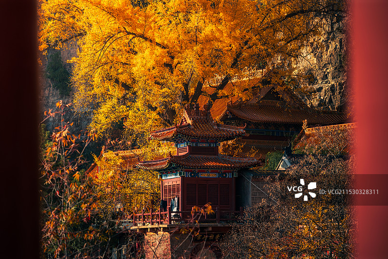 天桂山之秋图片素材