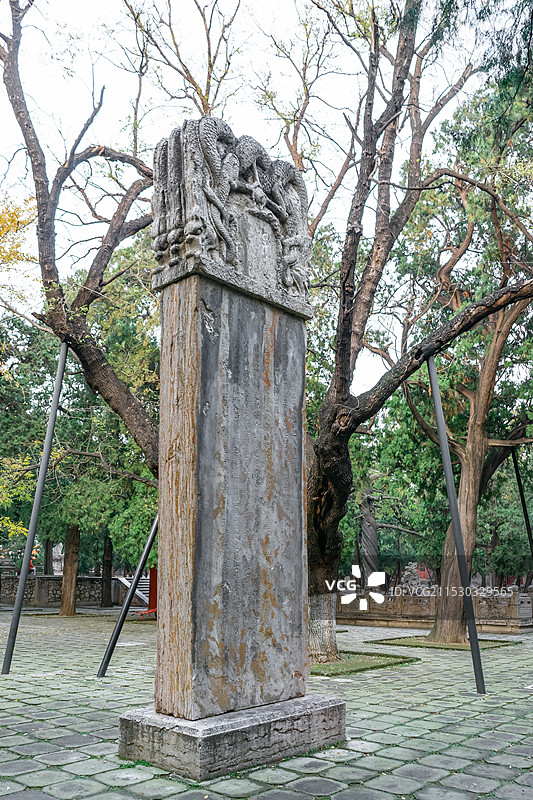 中国山东泰安泰山著名景点，岱庙古典式碑刻拍摄主题,背石碑的五岳独宗万代瞻仰乌龟赑屃，户外无人图像摄影图片素材