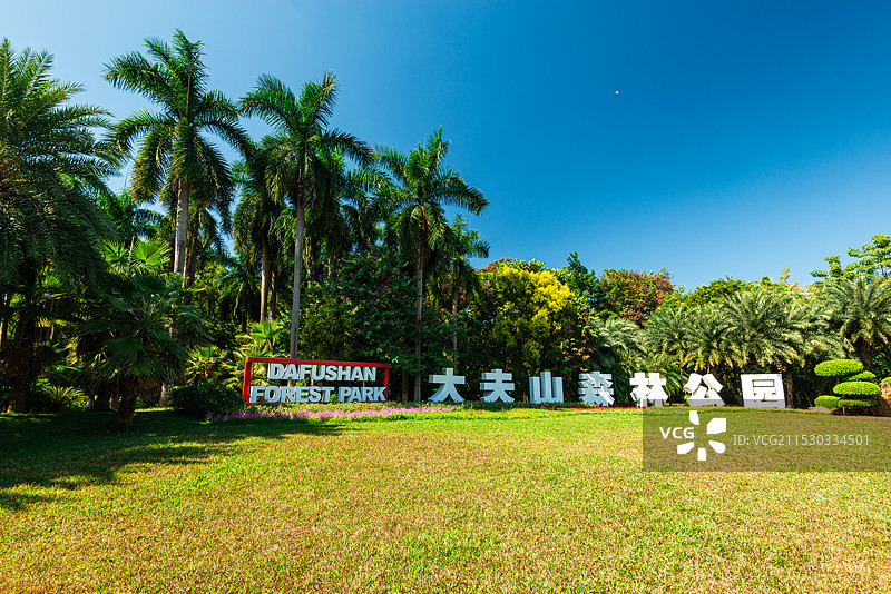 广州番禺大夫山森林公园南门自然风景图片素材