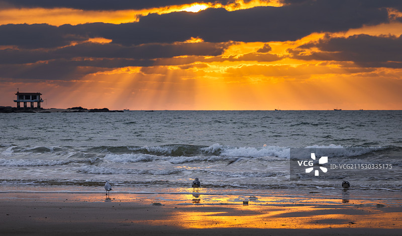 2024年11月9日，日照山海天太公岛公园晨曦耶稣光图片素材