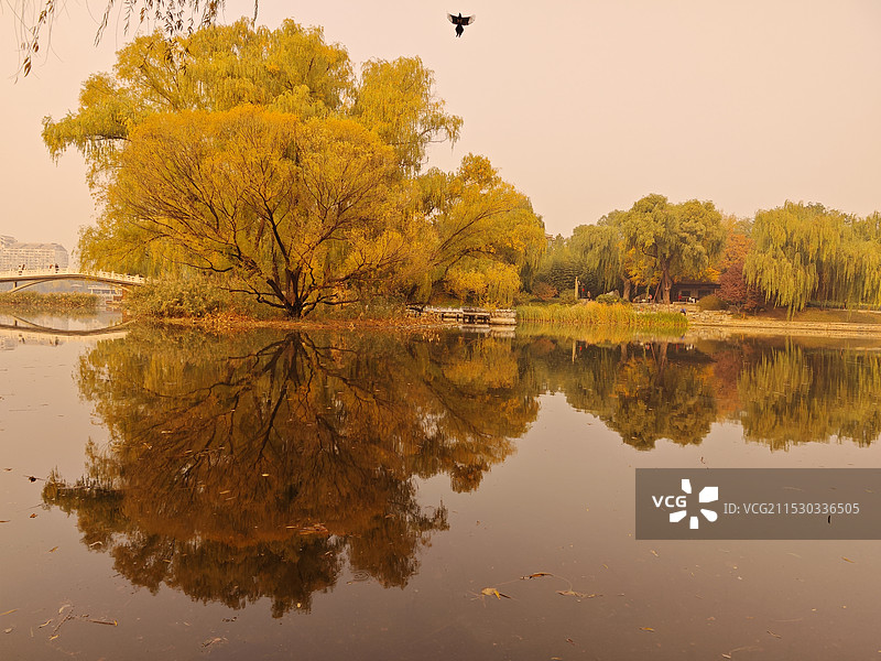 紫竹院公园-秋日画卷图片素材