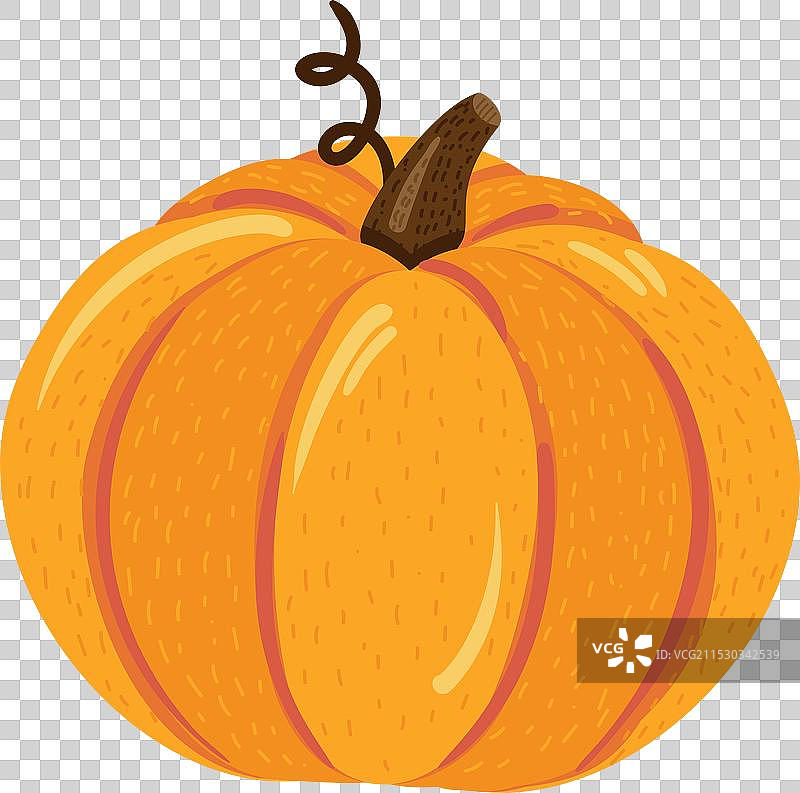 圆润成熟的橙色南瓜，秋季水果图片素材