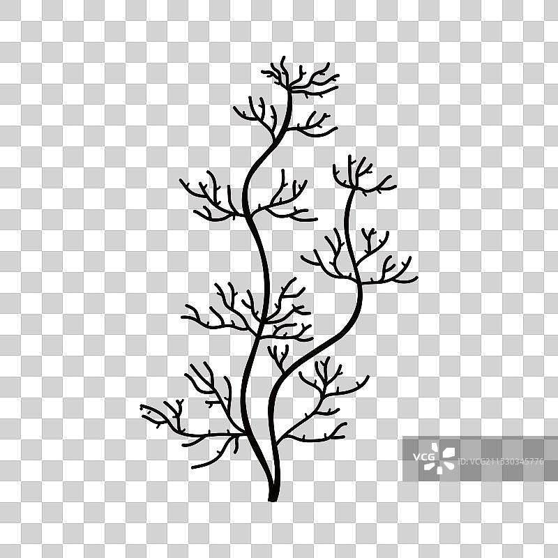 海藻剪影与图片素材