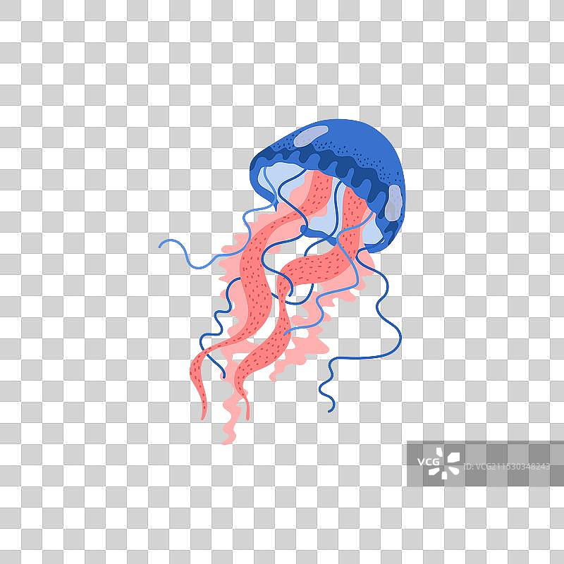 五彩斑斓的水母图片素材