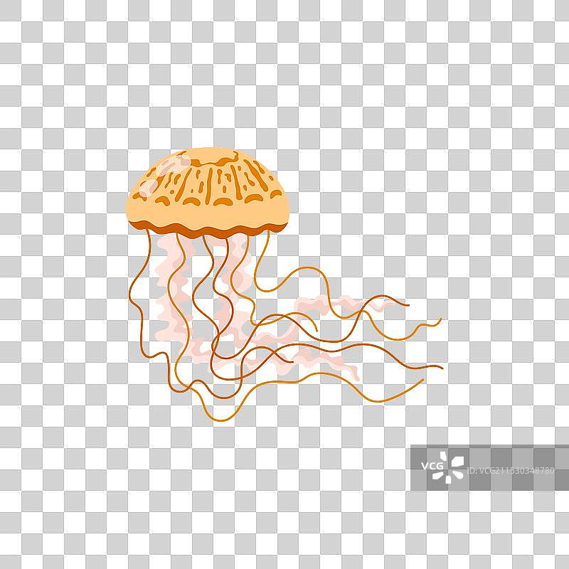 水母在流动中图片素材