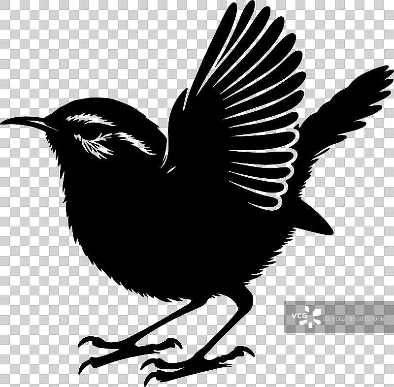 白色背景上的鹪鹩剪影图片素材