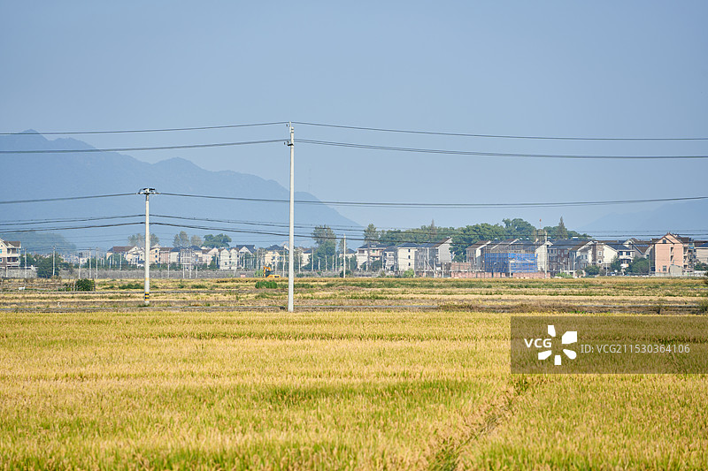 蓝天映衬下的田野景色图片素材