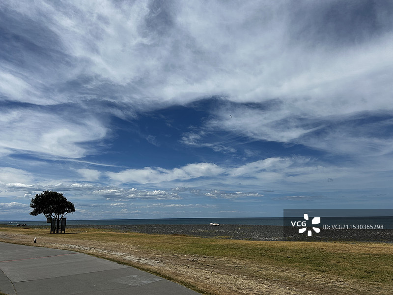 一棵树图片素材