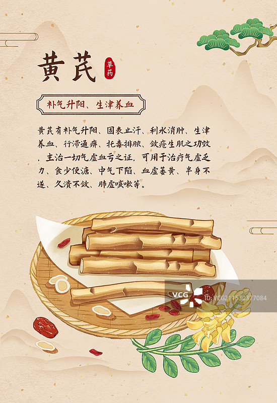 中国传统文化中医养生中草药药材医疗用品之黄芪海报图片素材