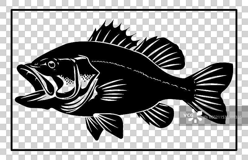 白色背景上的鲈鱼剪影艺术图片素材