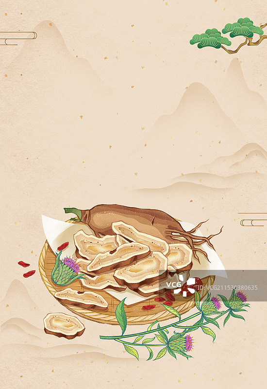 中国传统文化中医养生中草药药材之白术插画图片素材