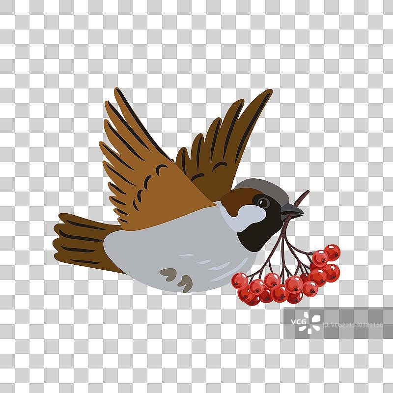 画家雀鸟图片素材