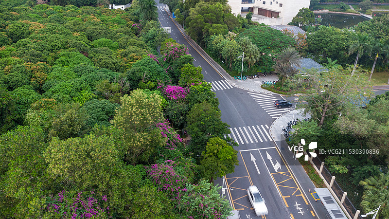 环西丽湖碧道航拍麒麟山庄附近的路口图片素材