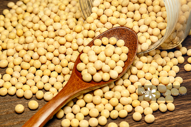 黄豆 大豆 五谷杂粮 食物图片素材
