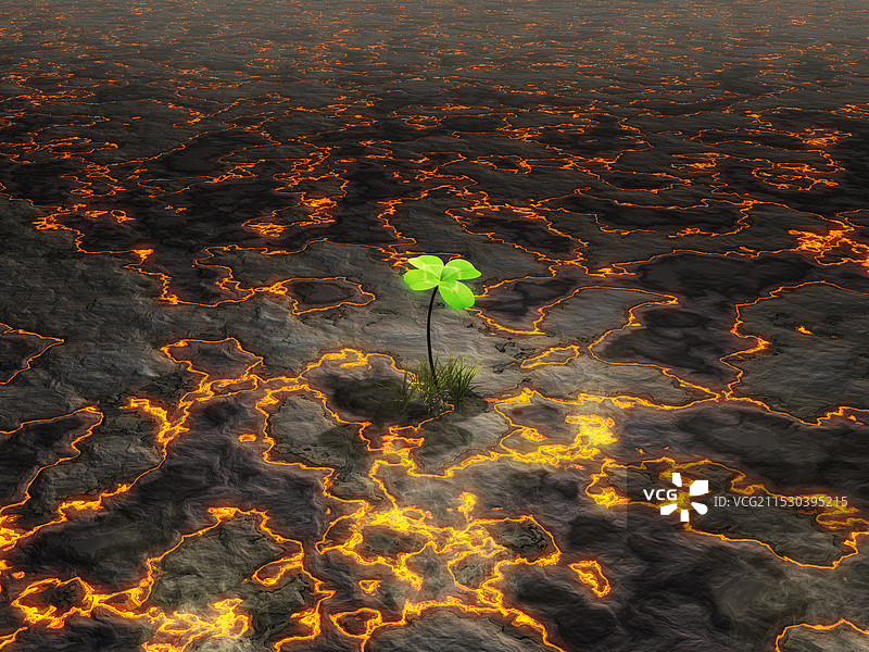 熔岩高原与三叶草图片素材