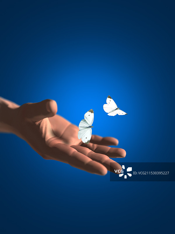 蝴蝶在手掌中翩翩起舞图片素材