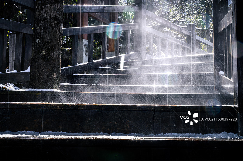 陕西宝鸡秦岭太白山红杉林冬季图片素材
