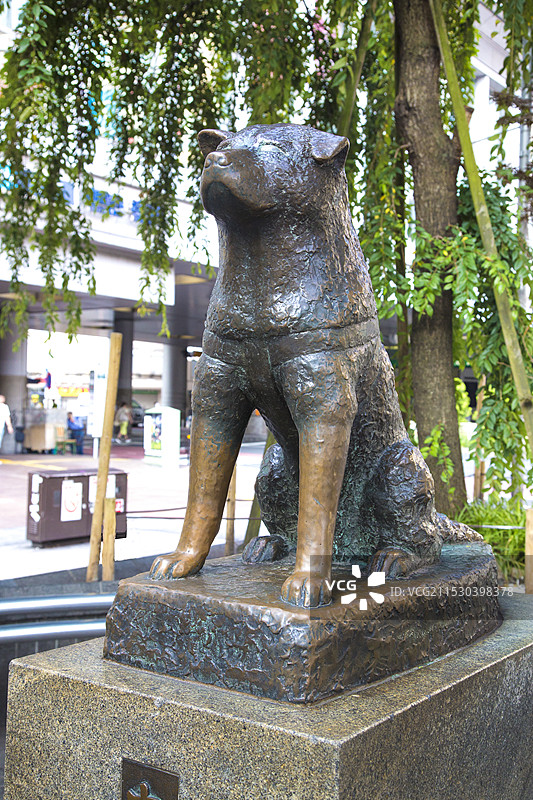 忠犬八公雕像图片素材