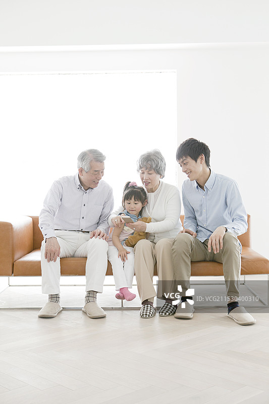 祖父、祖母、儿子和孙女图片素材