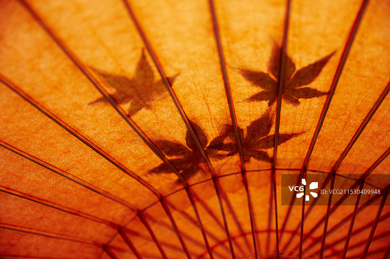 日本伞内侧的枫叶图案图片素材
