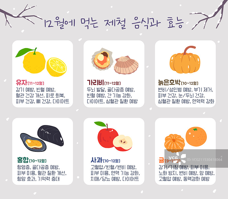 季节性食物，食材，十二月，柚子，扇贝，南瓜，贻贝，苹果，橘子图片素材