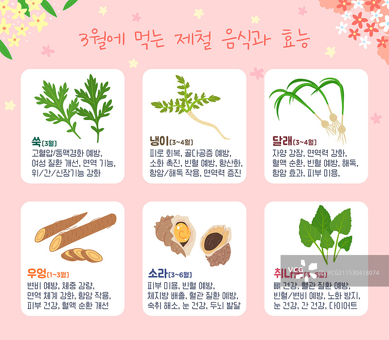 季节性食物，食材，三月，艾草，马齿苋，野生蒜头，牛蒡，螺，野菊花沙拉图片素材