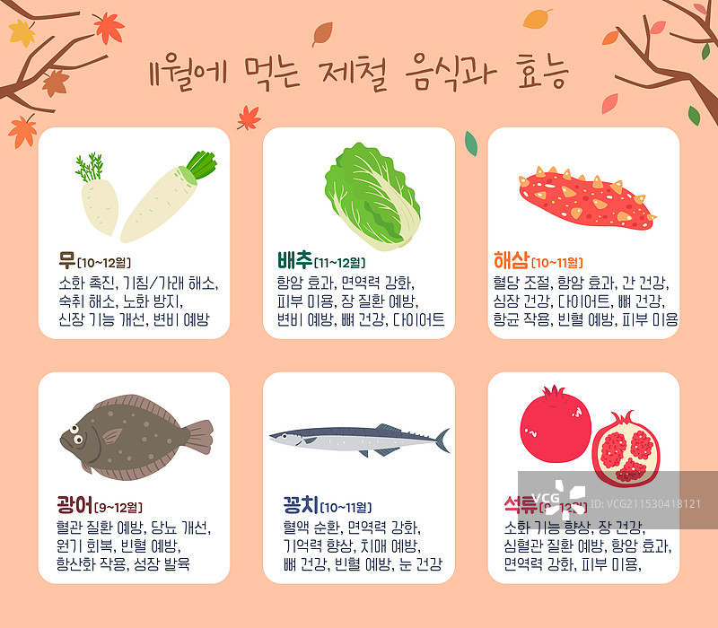 季节性食物，食材，十一月，萝卜，卷心菜，海参，平鱼，鲭鱼，石榴图片素材