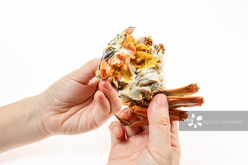 白色背景上的大闸蟹螃蟹图片素材