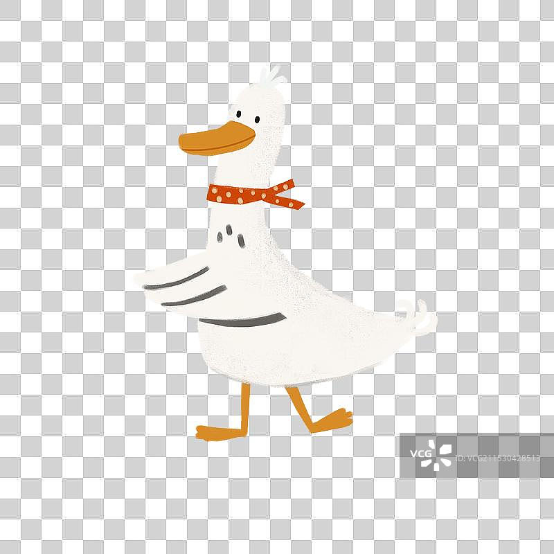 儿童插画白色的鸭子图片素材