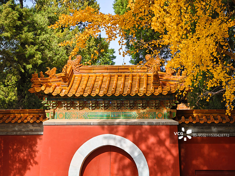 秋天的北京景山公园关帝庙山门与银杏图片素材